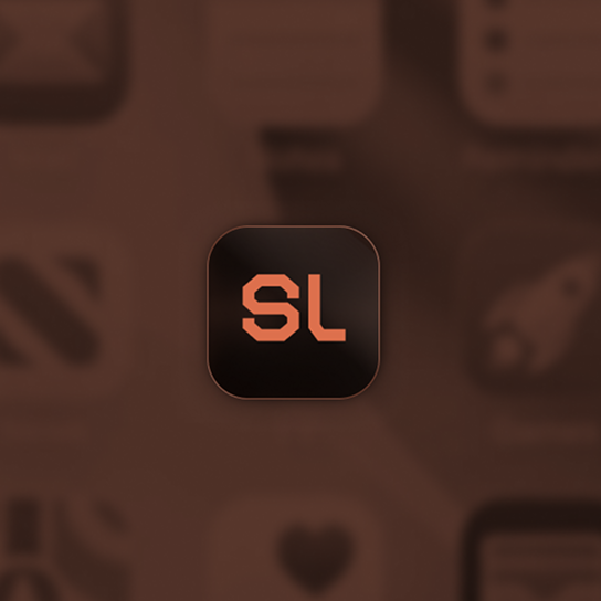 Sole Lucky brand identity 3
